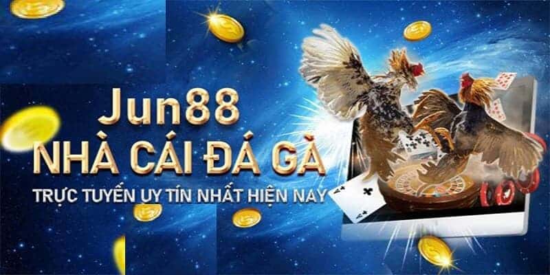 Đá gà online Jun88 - Địa chỉ đặt cược uy tín nhất 2024