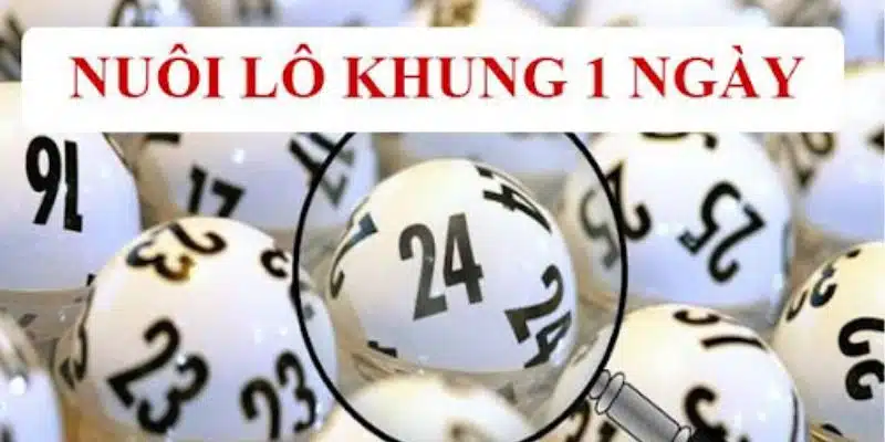 Cách nuôi lô kép khung 1 ngày Jun88 hiệu quả