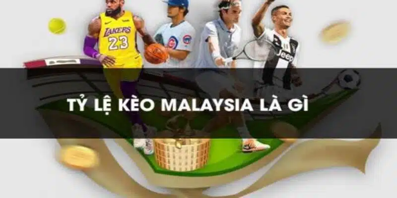 Cách đặt kèo Malaysia hiệu quả 