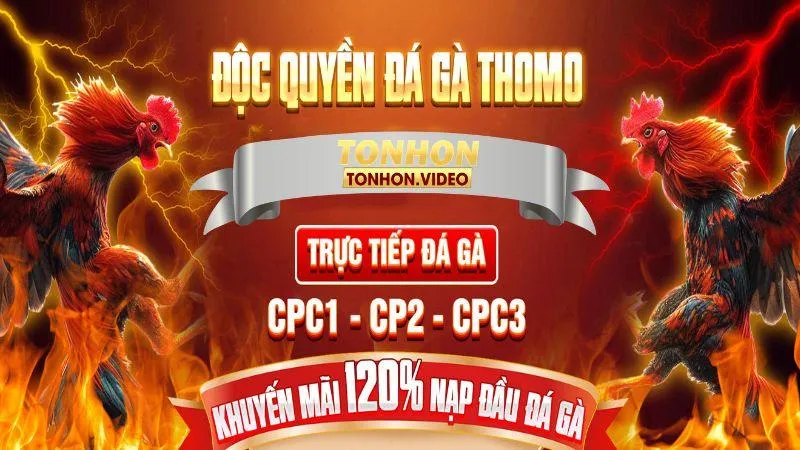 Bồ gà Tonhon truyền cảm hứng với cách thức tổ chức thông