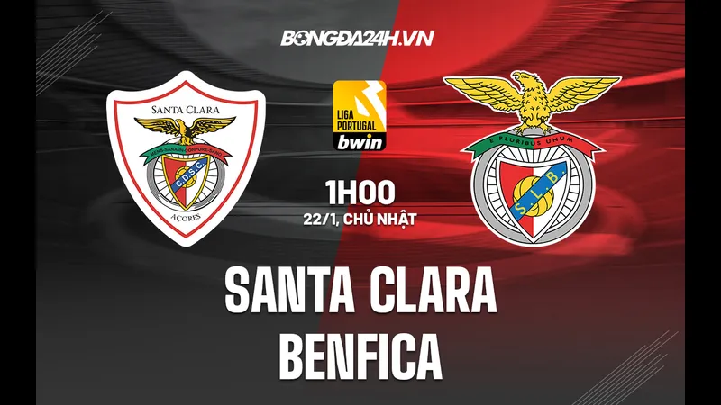 Chiến thuật chiến đấu mới của đội Benfica được thể hiện qua