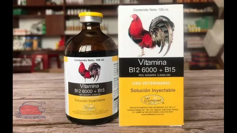 Hộp thuốc tăng lực dành cho gà đá, chứa vitamin cần thiết