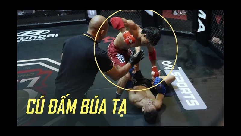 Minh họa cho đòn đấu độc trong bài viết Minh họa cho đòn đấu độc trong bài viết